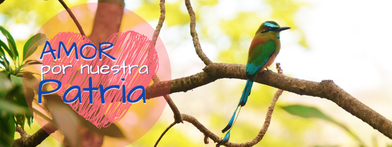 Amor por nuestra tierra - Partido Valores